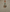 scrolling text